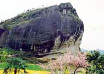 Main photo