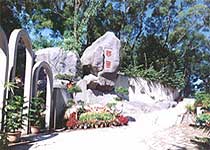 主图片