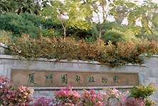 主图片
