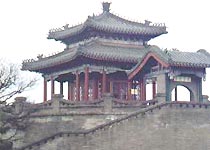 主图片