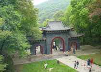 主图片