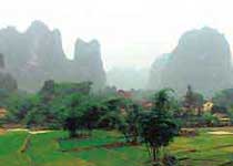 Main photo