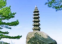 主圖片