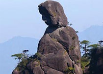 主圖片