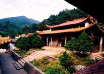 主圖片