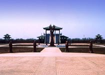 主图片
