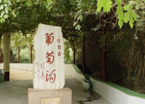 主图片