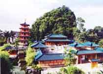 主图片