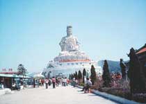 Main photo