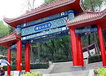 主圖片
