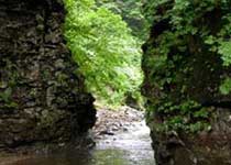 Main photo
