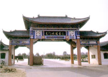 主图片