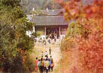 Main photo