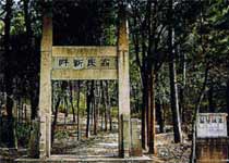 Main photo