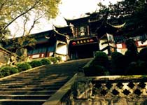 主图片