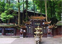 主图片