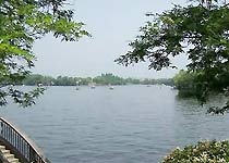 Main photo