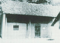 主图片