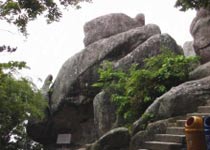 主圖片