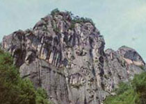 Main photo