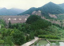Main photo