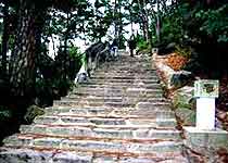 Main photo
